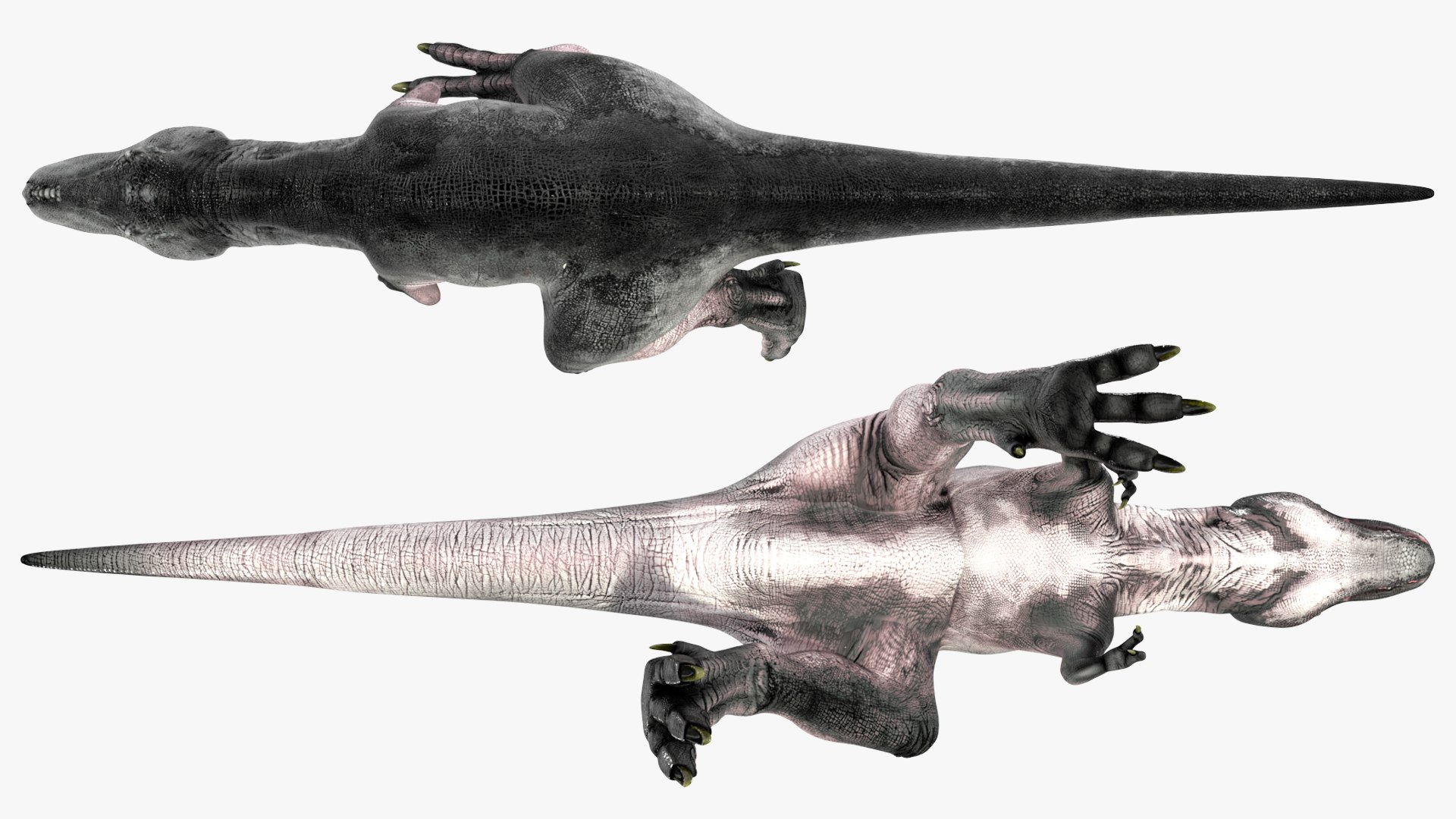 T Rex Walking Animated Rigged for Maya 3D https://p.turbosquid.com/ts-thumb/VE/h7AHFM/dv/trexwalkinganimatedriggedformaya3dmodel017/jpg/1691848942/1920x1080/fit_q87/e22a9523eedf9378af06a45fe738c85ac14b75fb/trexwalkinganimatedriggedformaya3dmodel017.jpg
