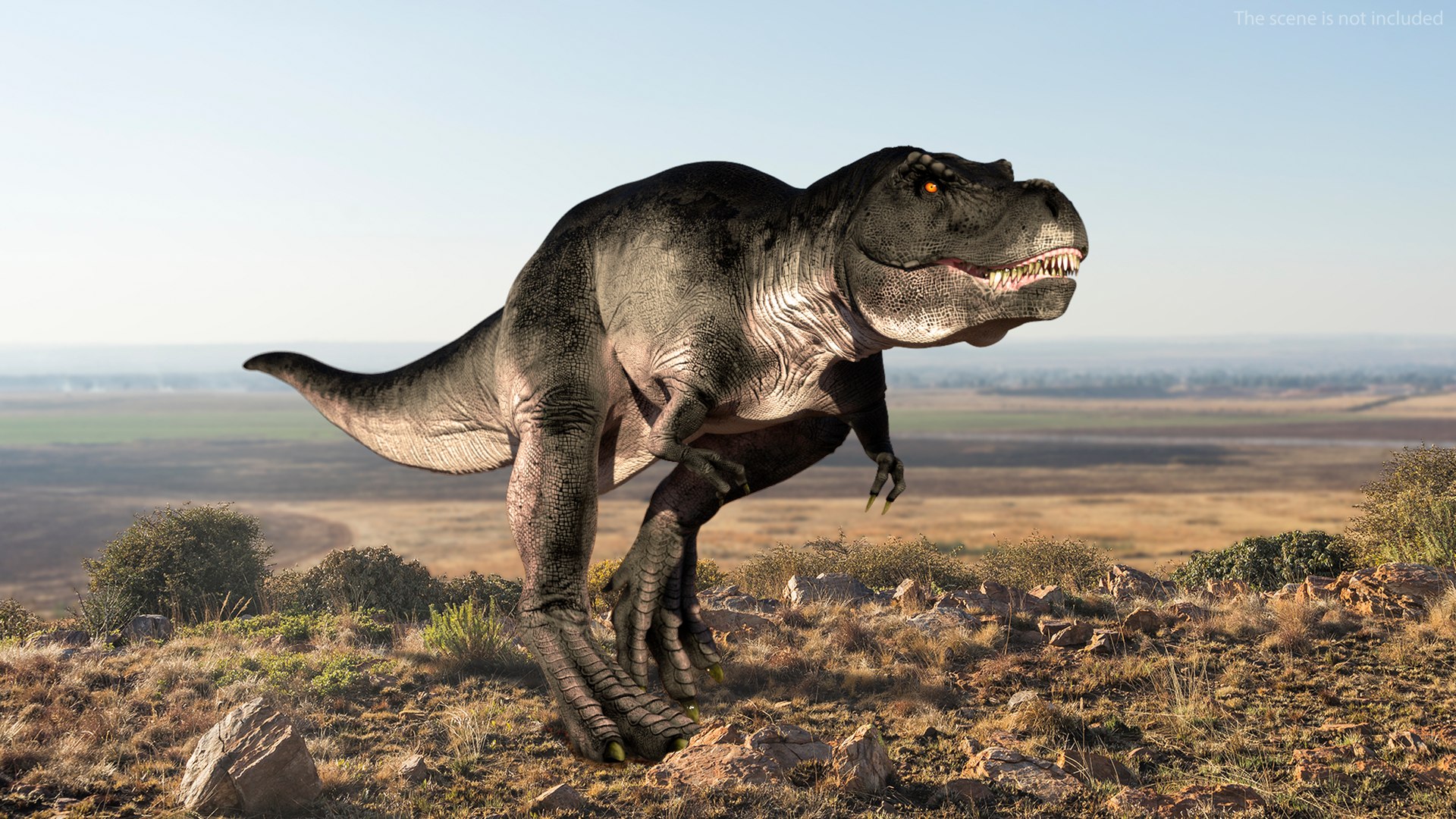 T Rex Walking Animated Rigged for Maya 3D model preview