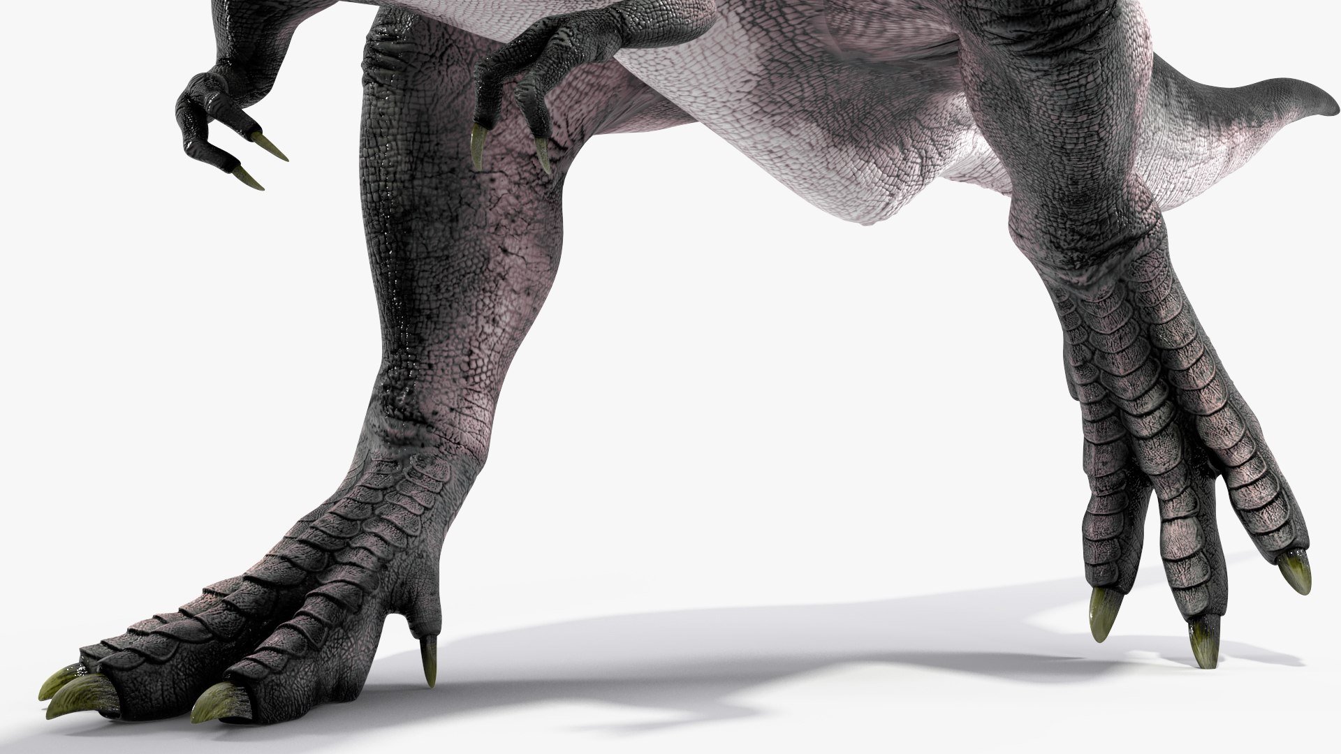 T Rex Walking Animated Rigged for Maya 3D https://p.turbosquid.com/ts-thumb/VE/h7AHFM/tm/trexwalkinganimatedriggedformaya3dmodel027/jpg/1691848980/1920x1080/fit_q87/a205e0a921bfbca99032198c55dcf77869f44103/trexwalkinganimatedriggedformaya3dmodel027.jpg