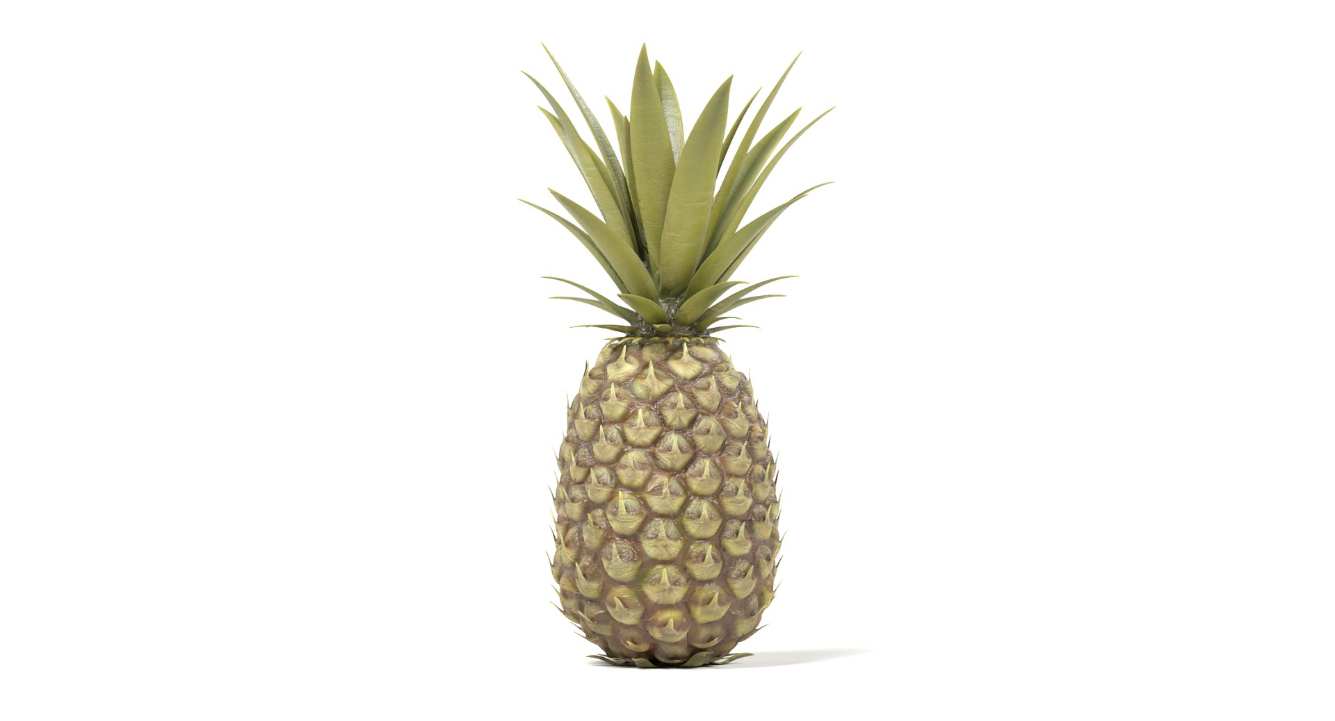 pineapple pine apple 3D https://p.turbosquid.com/ts-thumb/VE/jDV6wD/2cZSR4y9/pineapplec/png/1497639677/1920x1080/fit_q87/43014dd7ca9168b78052024be0426ac1933236f2/pineapplec.jpg