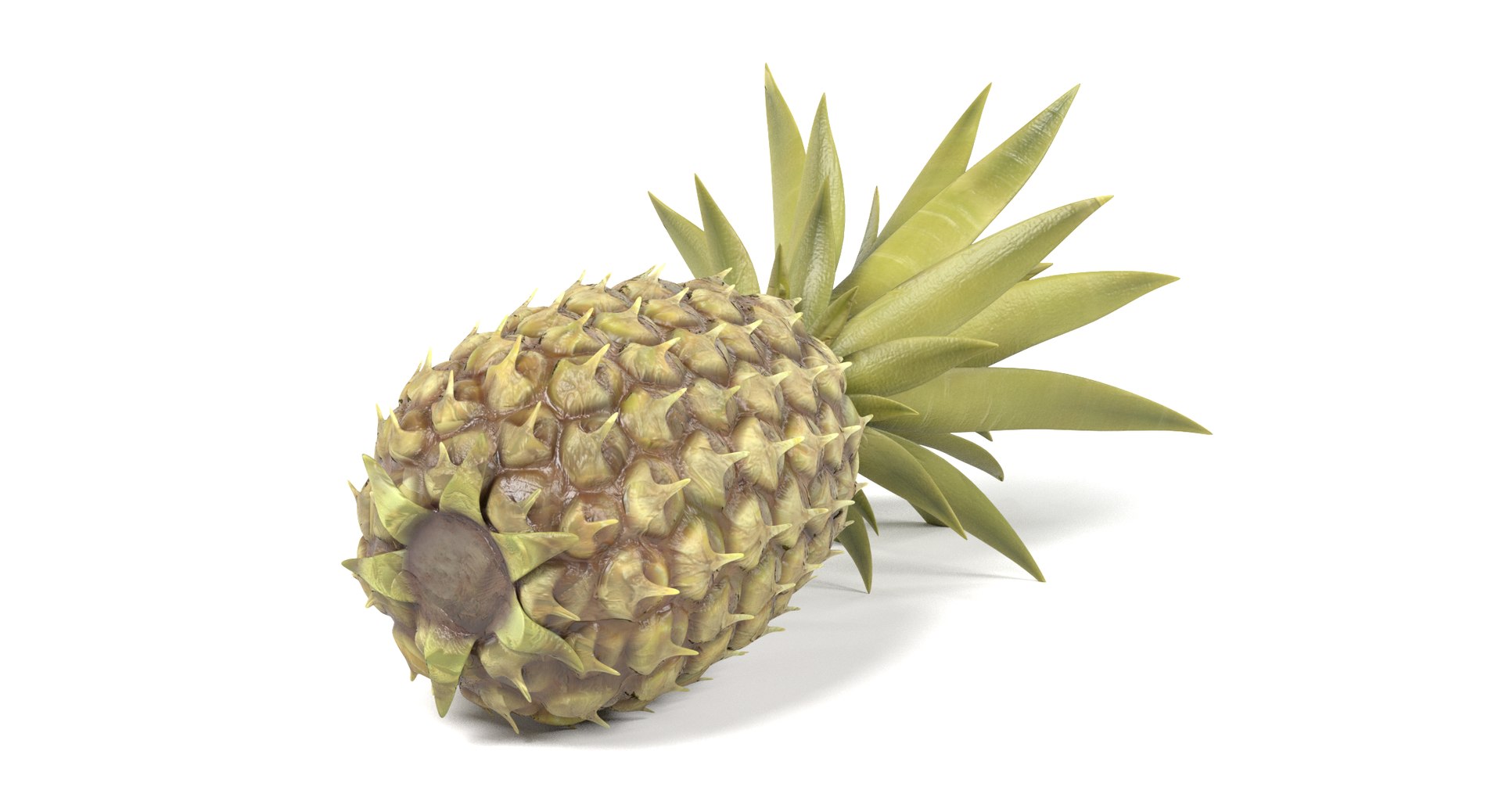 pineapple pine apple 3D https://p.turbosquid.com/ts-thumb/VE/jDV6wD/A74DFlmV/pineappled/png/1497640498/1920x1080/fit_q87/57eadfbb4521b796365ca3209bd5a5d260e401c1/pineappled.jpg