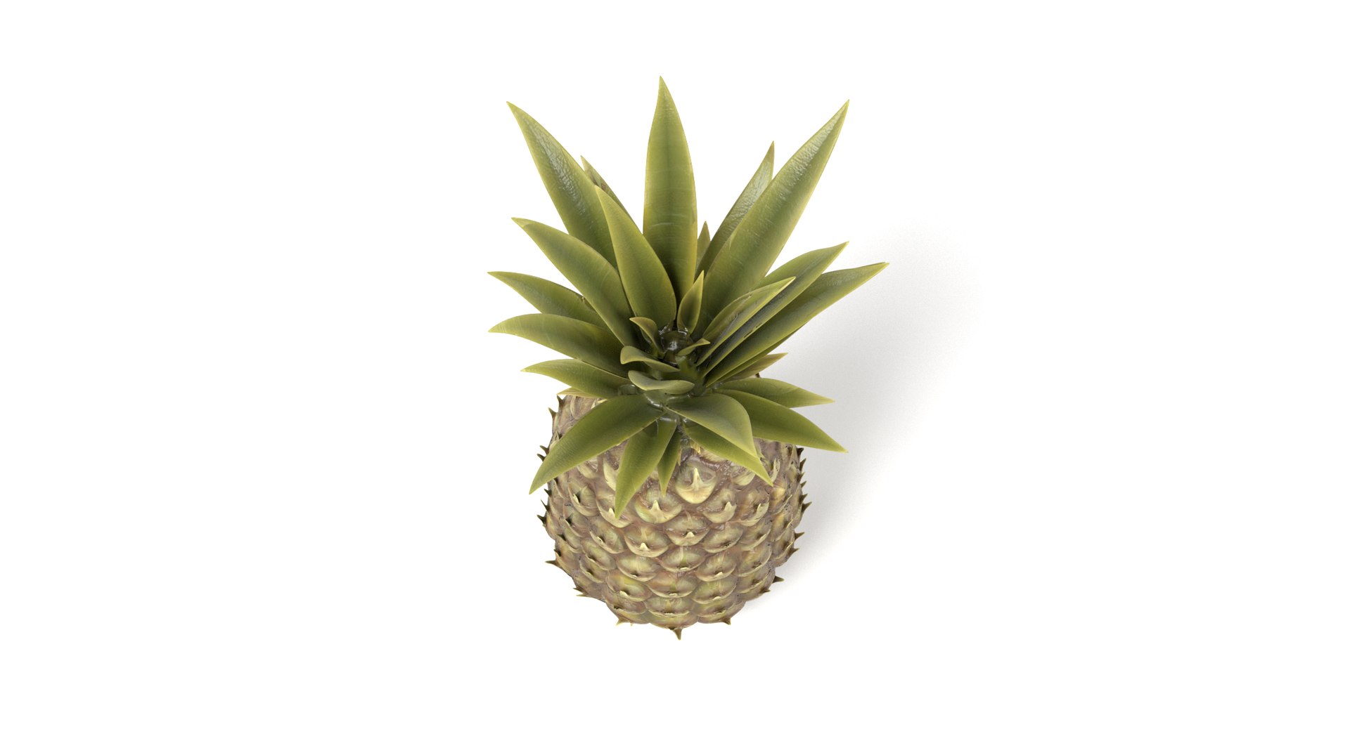 pineapple pine apple 3D https://p.turbosquid.com/ts-thumb/VE/jDV6wD/E7BKnEQP/pineapplee/png/1497640498/1920x1080/fit_q87/e15e5acbfd0efd36e0779820cfc09e0eed52e15c/pineapplee.jpg