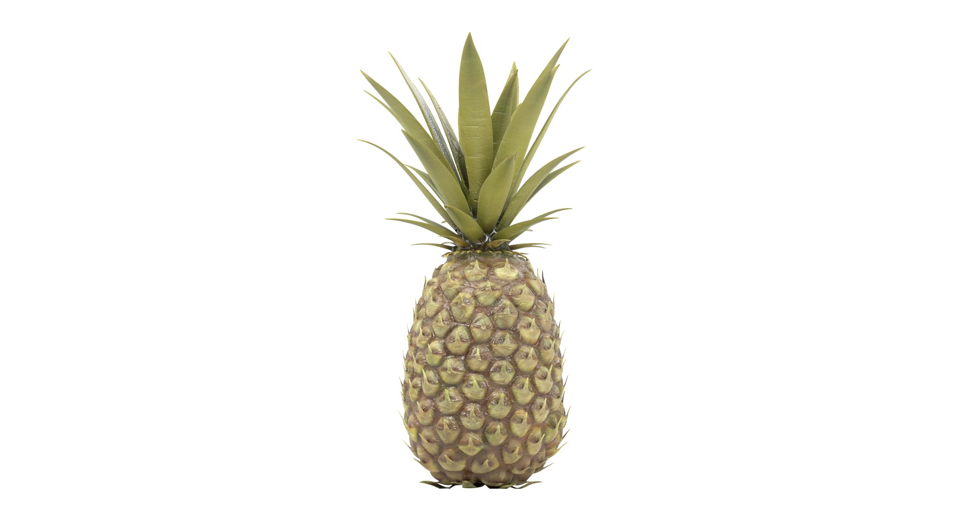 pineapple pine apple 3D https://p.turbosquid.com/ts-thumb/VE/jDV6wD/L7o7fhlz/pineappleg/png/1497640588/1920x1080/fit_q87/0d544eabd8aa6460b35cc8139948dfdad0c83177/pineappleg.jpg