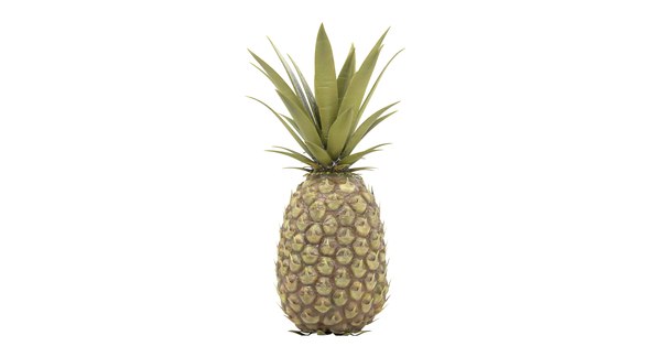 Pineapple pine apple 3D - TurboSquid 1151591