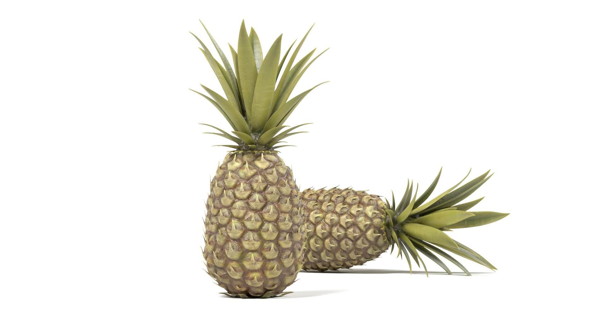pineapple pine apple 3D https://p.turbosquid.com/ts-thumb/VE/jDV6wD/M0odlB87/pineappleh/png/1497640588/1920x1080/fit_q87/256e3e2b71c2dfabb000f34c3d3713ace71f1c70/pineappleh.jpg