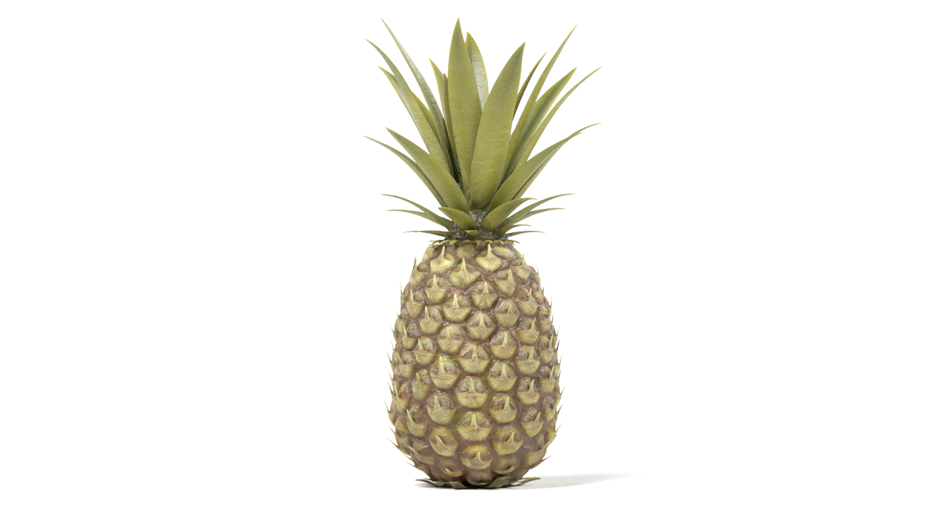 Pineapple Pine Apple 3D - TurboSquid 1151591