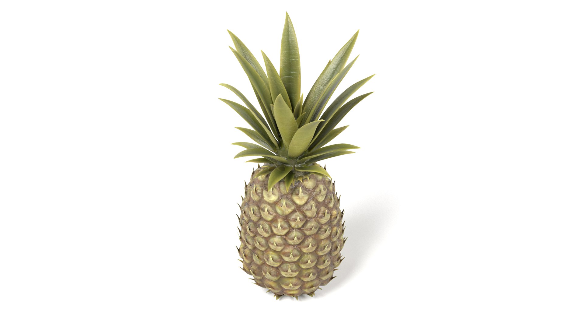 pineapple pine apple 3D https://p.turbosquid.com/ts-thumb/VE/jDV6wD/SiQMUNMI/pineapplef/png/1497640570/1920x1080/fit_q87/46f1747fe99f1d46b020c8d94f4556cde65a88bc/pineapplef.jpg
