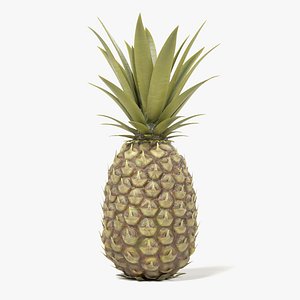 Pineapple