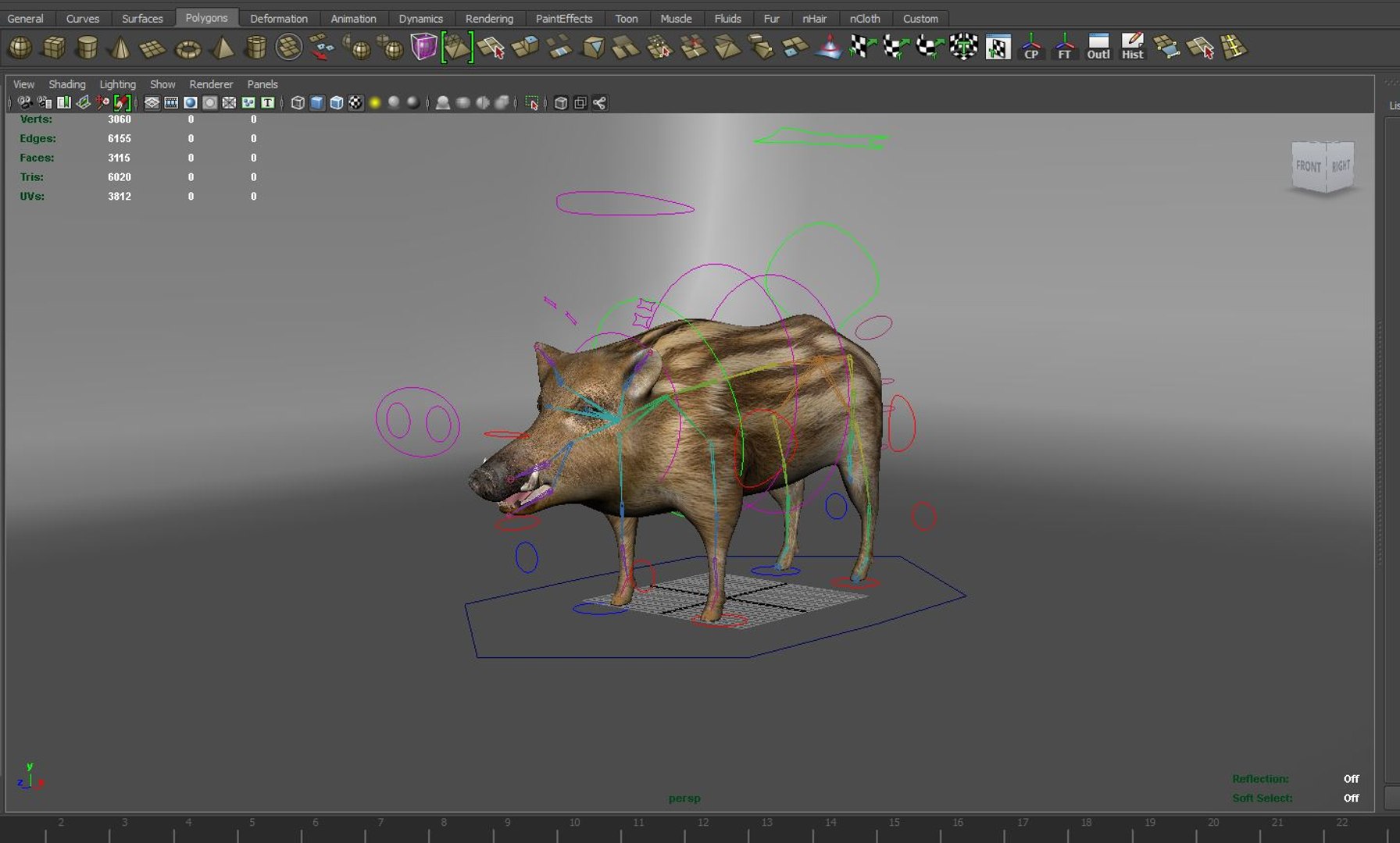 Wild Boar Rigged Animation Model - TurboSquid 1253243