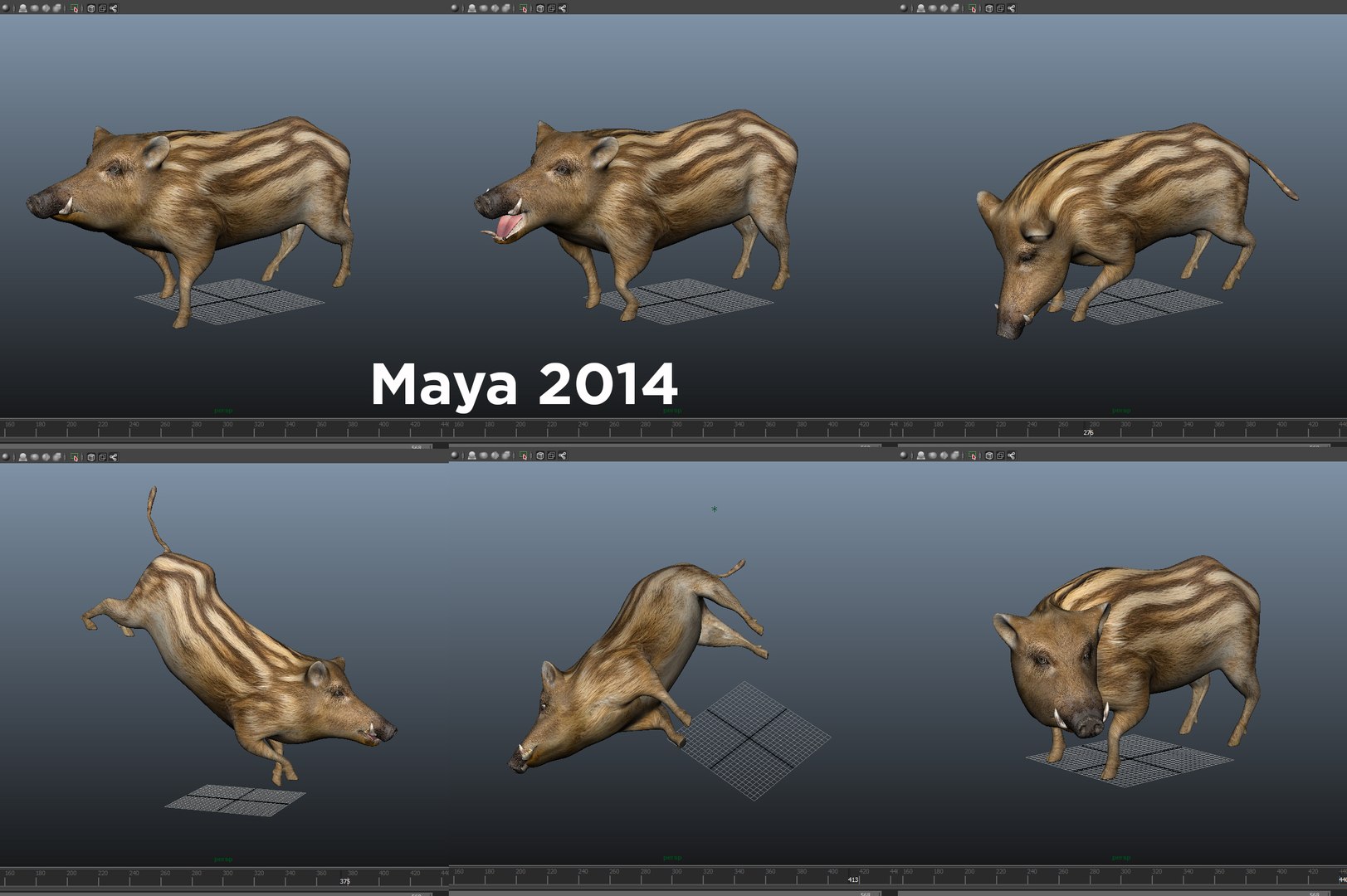 Wild Boar Rigged Animation Model - TurboSquid 1253243