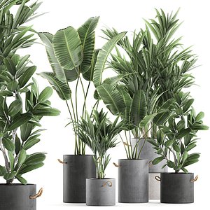 3D plants interior pots model