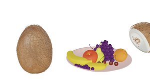 coconut with fruit 3D