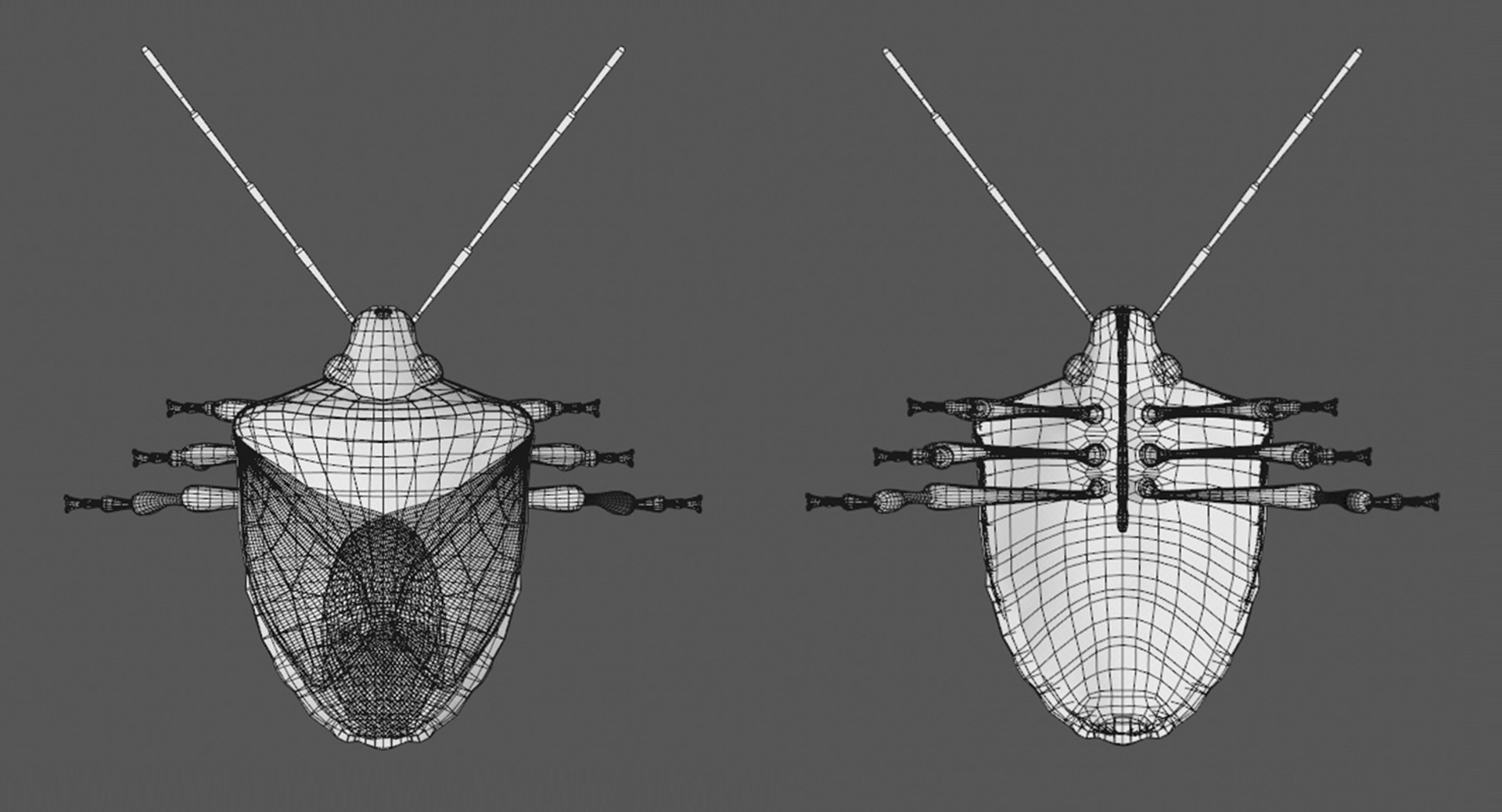 Stink Bug Model - TurboSquid 1203294