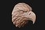 Eagle head 3D print ready