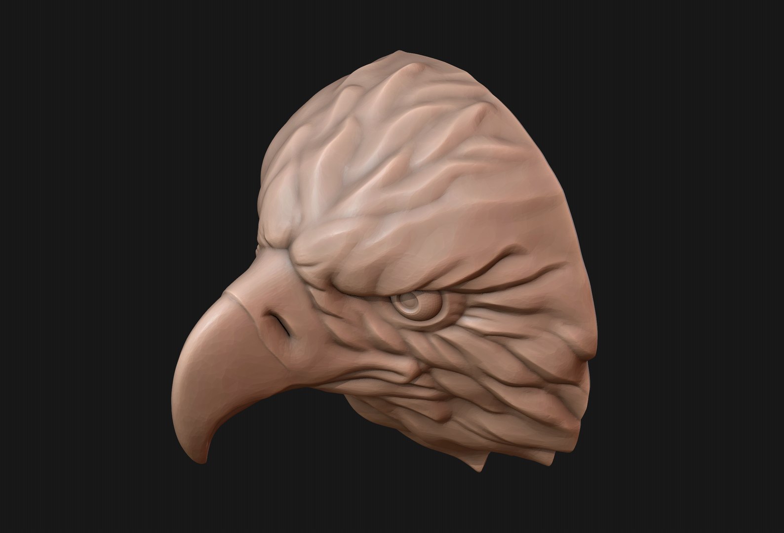 Eagle head 3D print ready 3D model https://p.turbosquid.com/ts-thumb/VE/zwUKOg/gz/10/png/1648439112/1920x1080/fit_q87/4108eb7a4e05b70ecc41393311b4dedb06eaa0c1/10.jpg