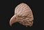Eagle head 3D print ready
