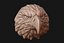Eagle head 3D print ready