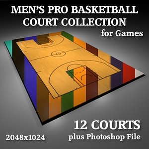 3d men pro basketball courts