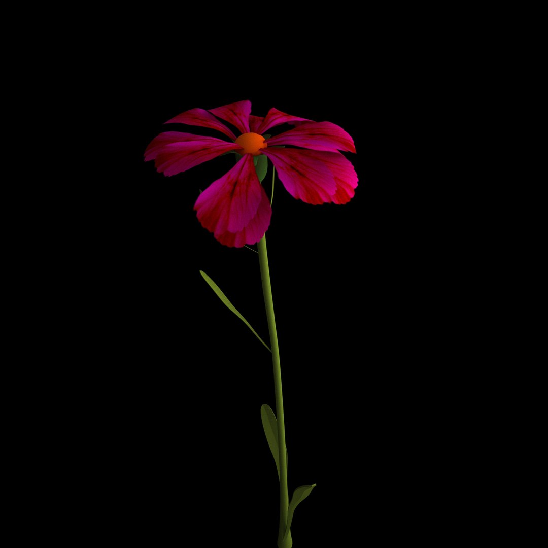 3D model flowers open animation https://p.turbosquid.com/ts-thumb/VF/IRupwm/0SueAnuI/01/jpg/1594295936/1920x1080/fit_q87/a29389138fafe950bfaf5b16aa817cb641607988/01.jpg