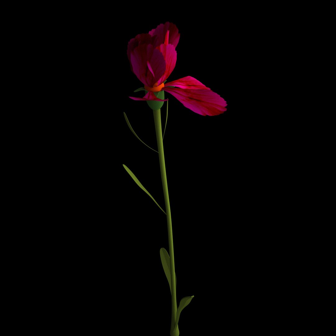 3D model flowers open animation https://p.turbosquid.com/ts-thumb/VF/IRupwm/EGNpilZA/09/jpg/1594295936/1920x1080/fit_q87/38dde068d71a41230406227eebde647cccbc6540/09.jpg