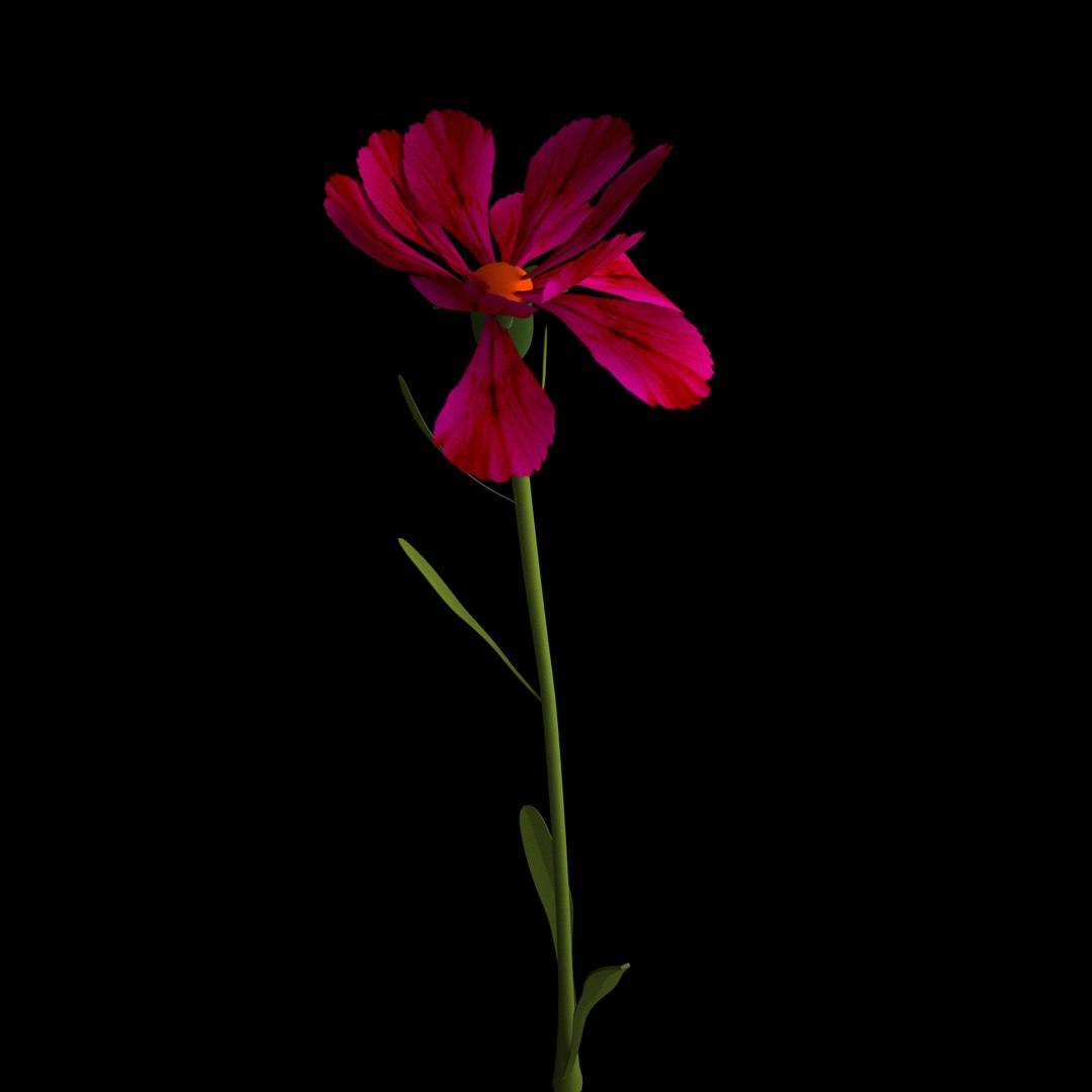 3D model flowers open animation https://p.turbosquid.com/ts-thumb/VF/IRupwm/FEXTvJqL/010/jpg/1594295936/1920x1080/fit_q87/428bcd824306461b2cf7053dff411b315e1edfb3/010.jpg