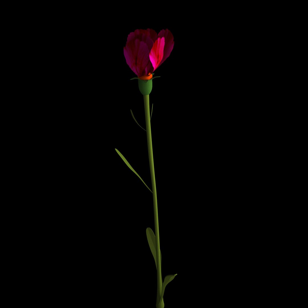 3D model flowers open animation https://p.turbosquid.com/ts-thumb/VF/IRupwm/KL4VCYT4/08/jpg/1594295936/1920x1080/fit_q87/e11746f5f4aa9e328f0541578e68b37d1ab47a88/08.jpg