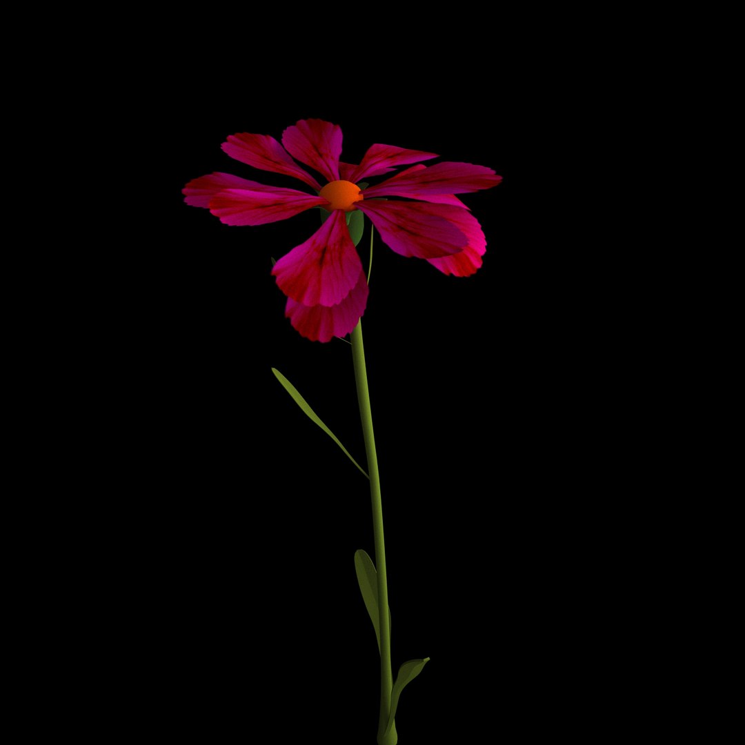 3D model flowers open animation https://p.turbosquid.com/ts-thumb/VF/IRupwm/LNiv1Uty/011/jpg/1594295936/1920x1080/fit_q87/d883fafddf2b45376f007b40e9fd11f013692158/011.jpg