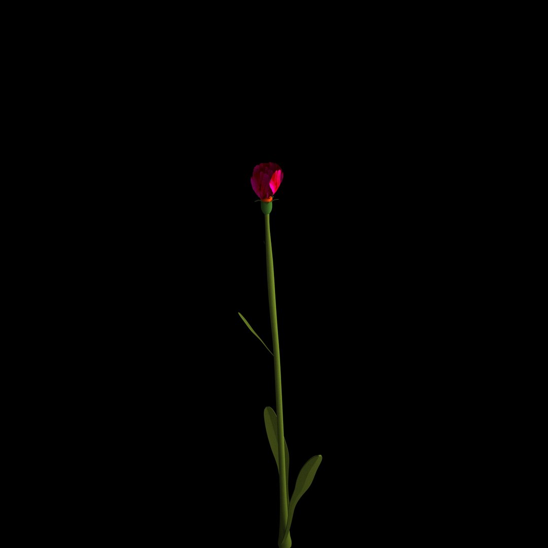 3D model flowers open animation https://p.turbosquid.com/ts-thumb/VF/IRupwm/e2bXl7vK/07/jpg/1594295936/1920x1080/fit_q87/255485eee45ba170285ef11f20c2196f0eeedb4a/07.jpg