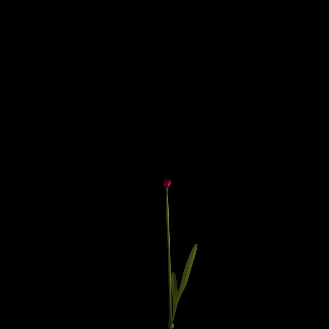 3D model flowers open animation https://p.turbosquid.com/ts-thumb/VF/IRupwm/wV3Fa6tm/06/jpg/1594295936/1920x1080/fit_q87/deb47301935cce83fe79a1fa7e74114a391cf253/06.jpg