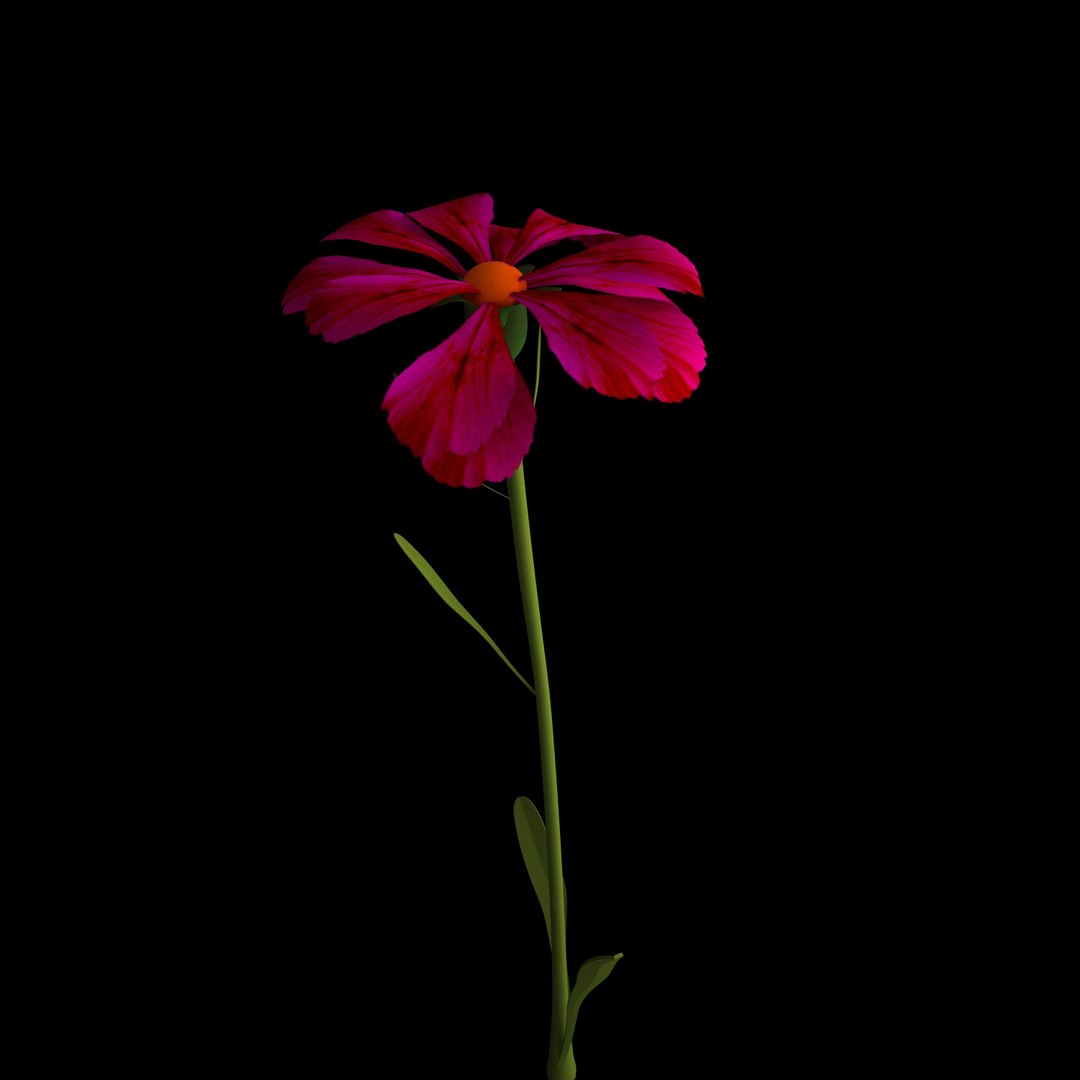 3D model flowers open animation https://p.turbosquid.com/ts-thumb/VF/IRupwm/wrlpYMNk/012/jpg/1594295936/1920x1080/fit_q87/84be3bcdde6b9d69a400361c593b5236c9d15d57/012.jpg