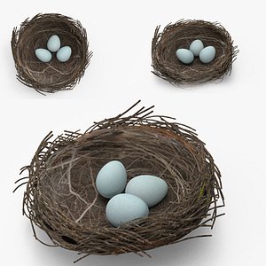 Bird Nest 3D PBR