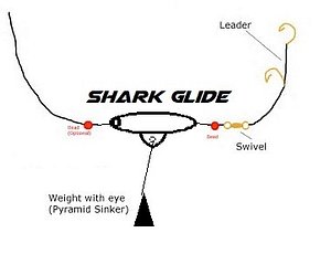 Shark Glide
