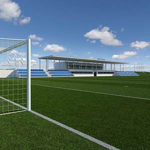 Football Soccer Pitch 1