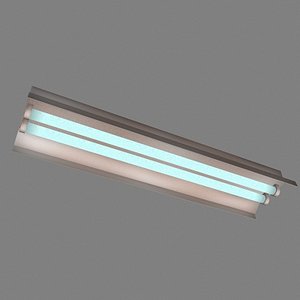 Light Flourescent
