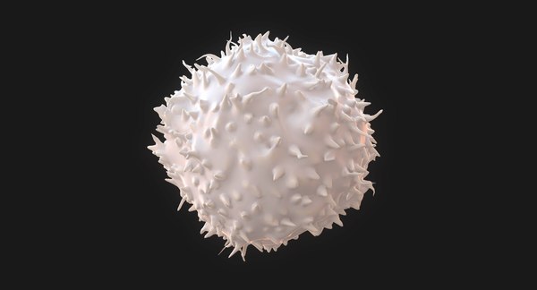 3D lymphocytes model - TurboSquid 1423557