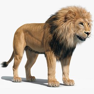 3D fur lion