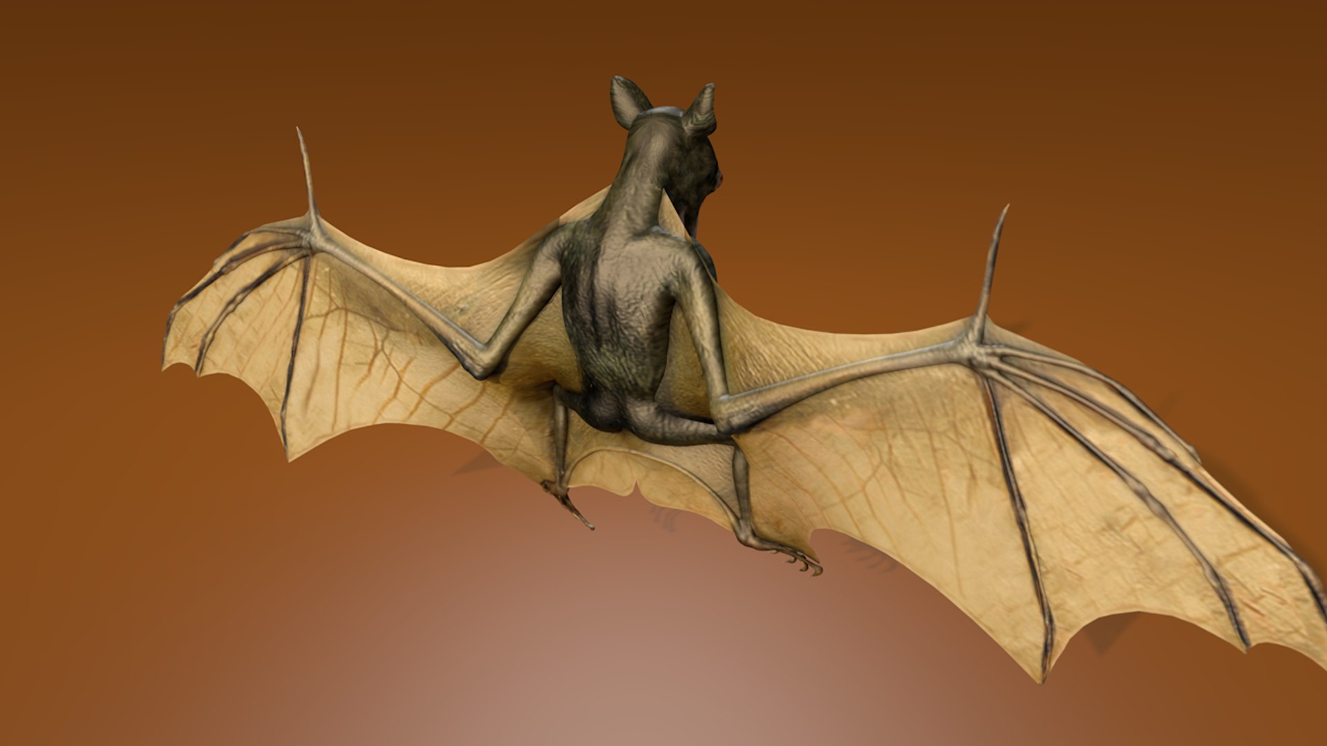 corona bat 3D model https://p.turbosquid.com/ts-thumb/VG/9h2mg3/IKD6WnCX/bat_0099/png/1581348459/1920x1080/fit_q87/74f95232eecbad4d4c2e71e1ad4987be5ad70fca/bat_0099.jpg