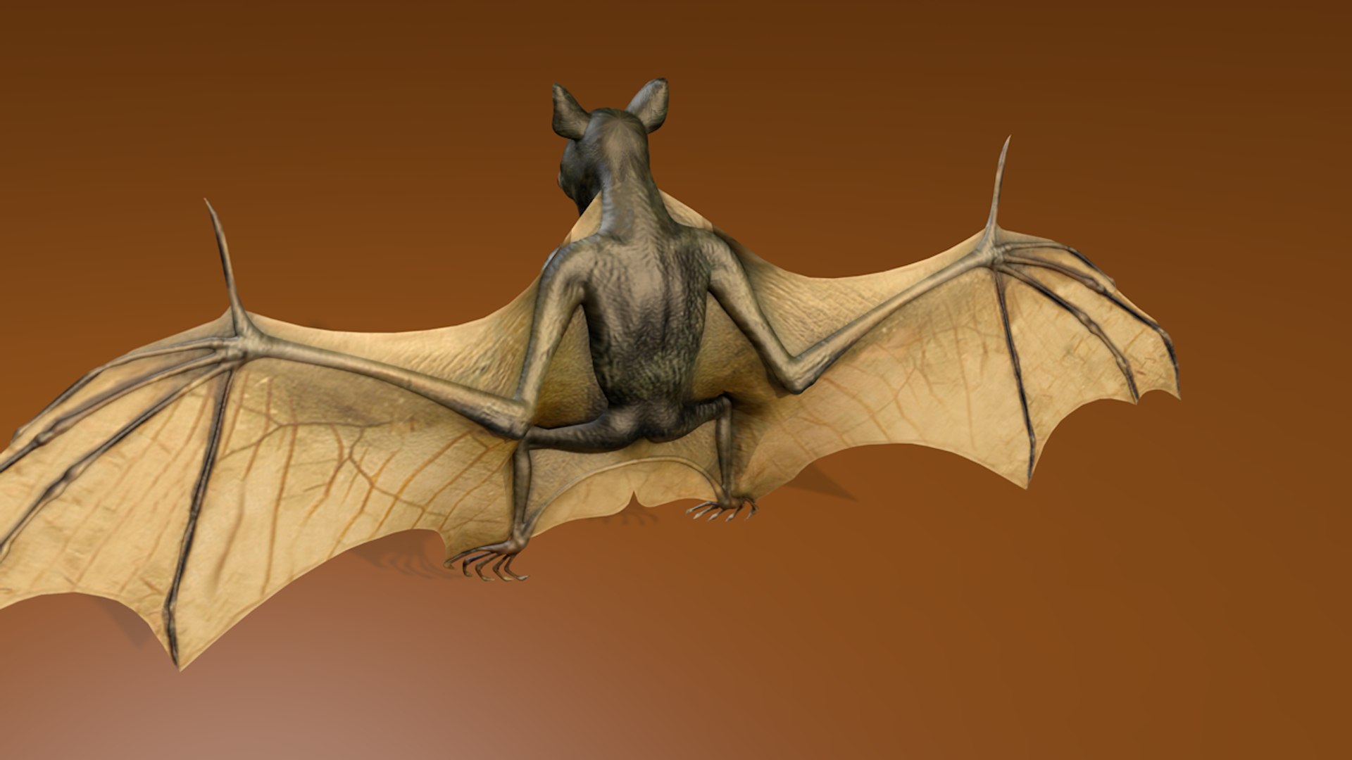 corona bat 3D model https://p.turbosquid.com/ts-thumb/VG/9h2mg3/MSBYFh9M/bat_0121/png/1581348481/1920x1080/fit_q87/49d0762023ace60ae4a9fd7e85caf33519c07e7b/bat_0121.jpg
