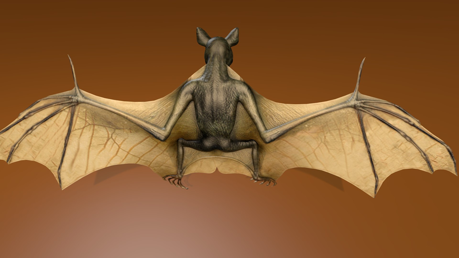 corona bat 3D model https://p.turbosquid.com/ts-thumb/VG/9h2mg3/isCb2zyp/bat_0110/png/1581348469/1920x1080/fit_q87/7dcb99eaaad914557b8252283a3a11d294b5018b/bat_0110.jpg