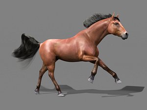 horse mane animation 3d model