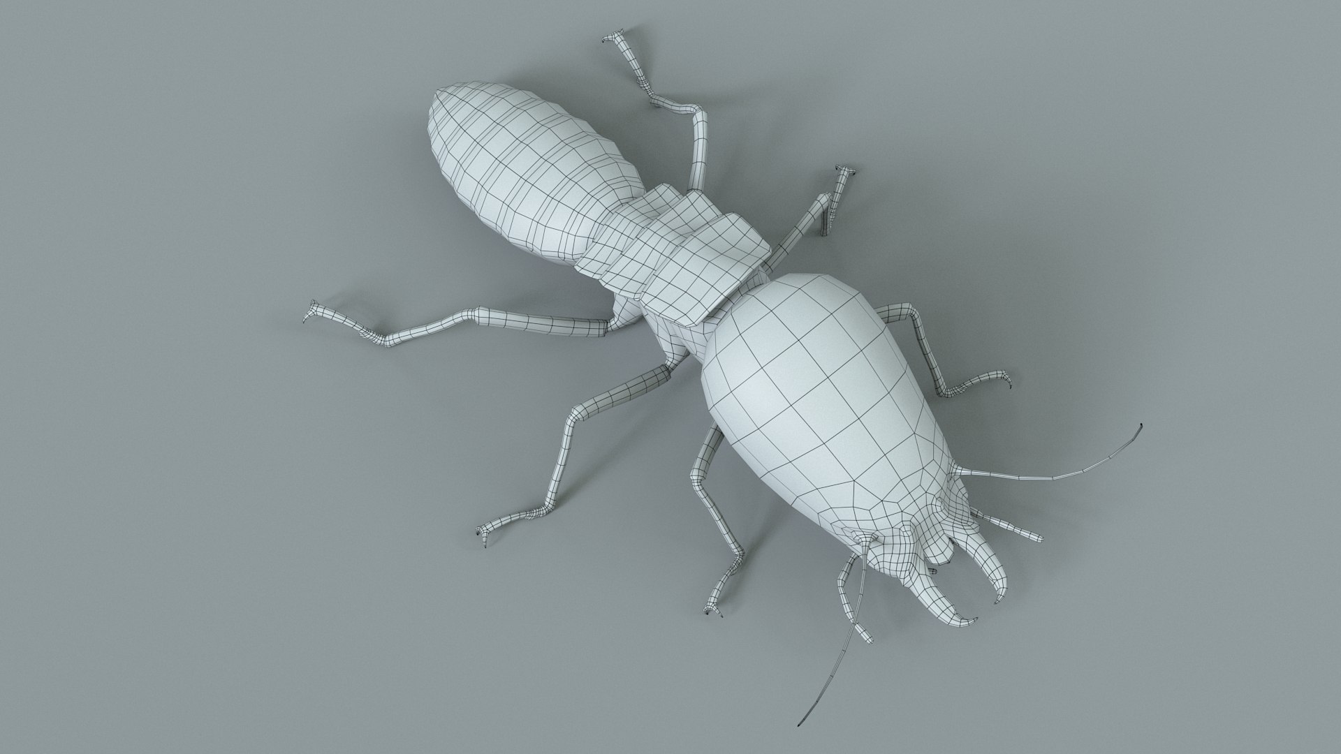 3D Termite Soldier Rigged Xgen https://p.turbosquid.com/ts-thumb/VG/I6dqz8/Co/termite_rigged_28/jpg/1715323030/1920x1080/fit_q87/389753f93b8bfd04bc84b84f32f198c0b291c2c7/termite_rigged_28.jpg