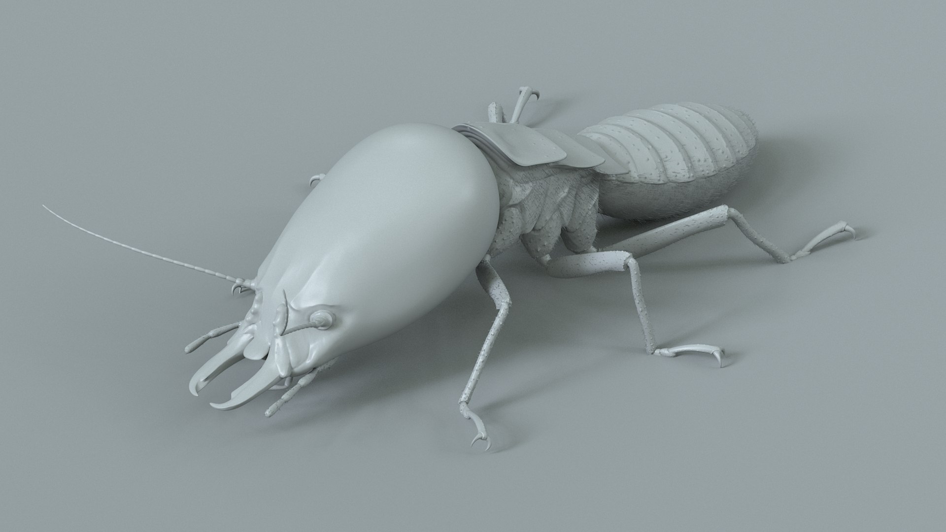 3D Termite Soldier Rigged Xgen https://p.turbosquid.com/ts-thumb/VG/I6dqz8/KK/termite_rigged_17/jpg/1715323015/1920x1080/fit_q87/1ca91372944b5821ab308b8d810009a40cfa6362/termite_rigged_17.jpg