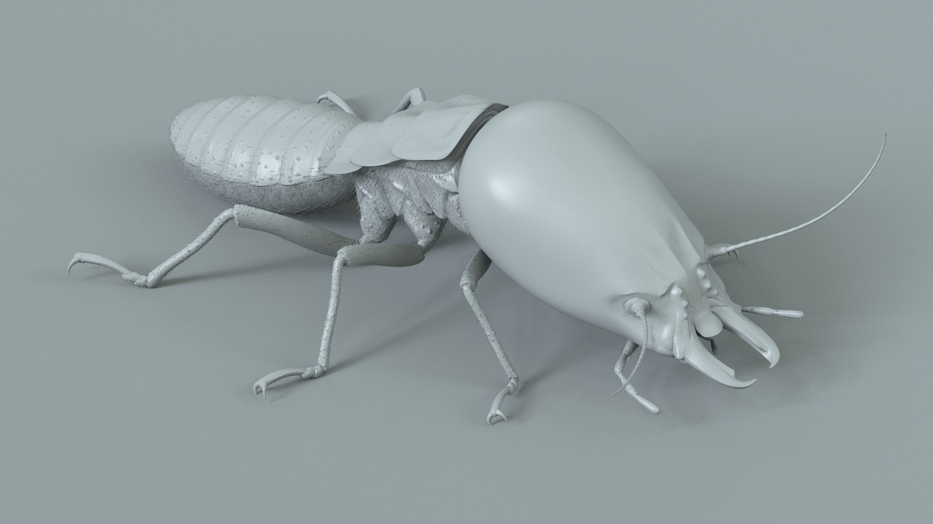 3D Termite Soldier Rigged Xgen https://p.turbosquid.com/ts-thumb/VG/I6dqz8/NG/termite_rigged_11/jpg/1715323007/1920x1080/fit_q87/47a35634a2ab0d02c4d6a2586d4828634499ec82/termite_rigged_11.jpg