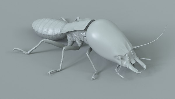 modelo 3d Soldado de termitas Rigged Xgen - TurboSquid 2226689