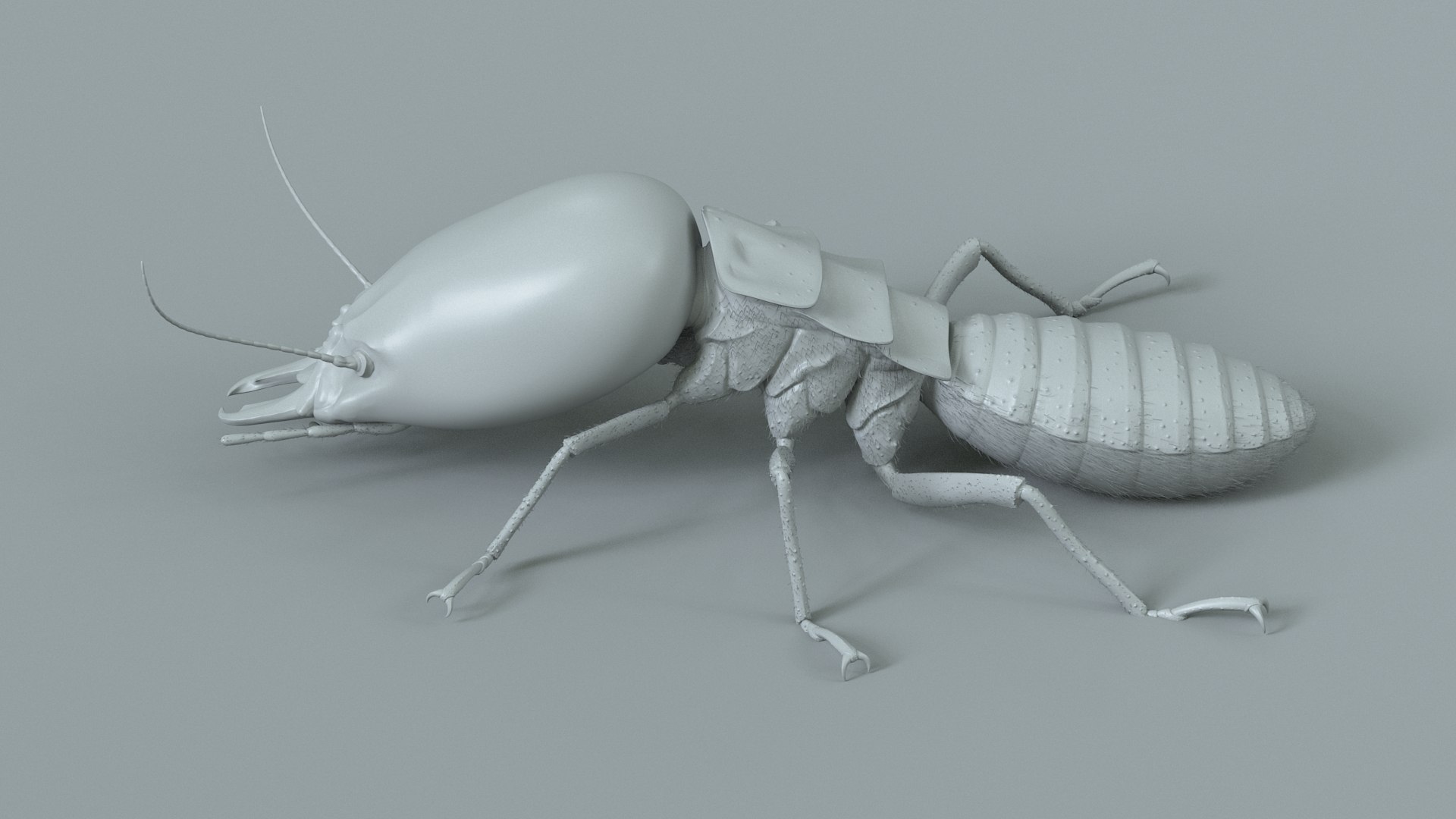 3D Termite Soldier Rigged Xgen https://p.turbosquid.com/ts-thumb/VG/I6dqz8/Ui/termite_rigged_16/jpg/1715323014/1920x1080/fit_q87/ddca01b81ae3bad74888211595dbf034f156126c/termite_rigged_16.jpg