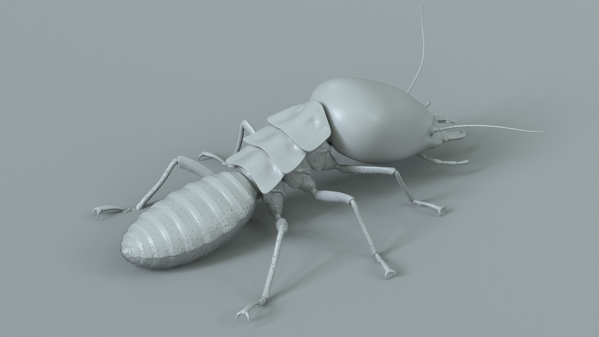 3D Termite Soldier Rigged Xgen https://p.turbosquid.com/ts-thumb/VG/I6dqz8/Uo/termite_rigged_13/jpg/1715323010/1920x1080/fit_q87/60292ae34b48e5f50a139cb51c58a8e98e0064a6/termite_rigged_13.jpg