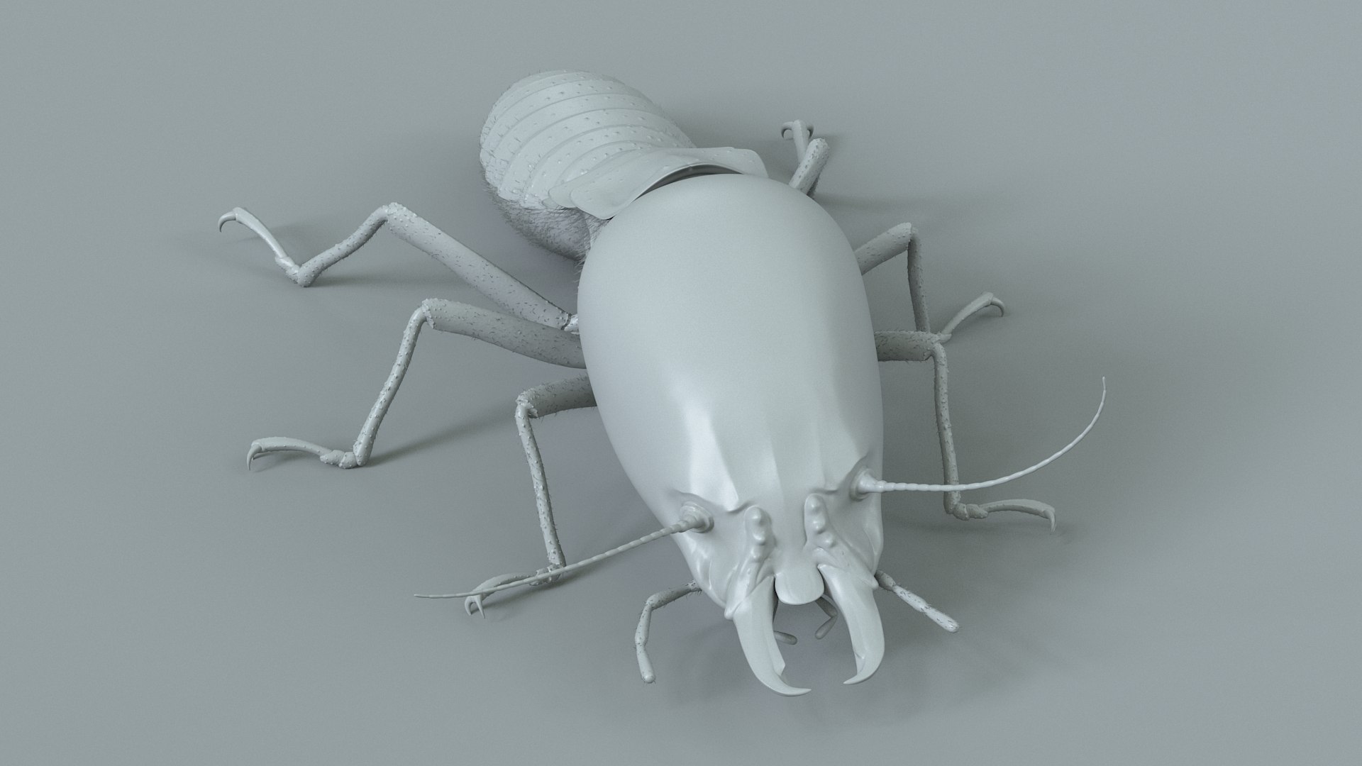 3D Termite Soldier Rigged Xgen https://p.turbosquid.com/ts-thumb/VG/I6dqz8/XS/termite_rigged_18/jpg/1715323017/1920x1080/fit_q87/bb3d727dfdbde7bb2f8b090028a3268c402b84ab/termite_rigged_18.jpg