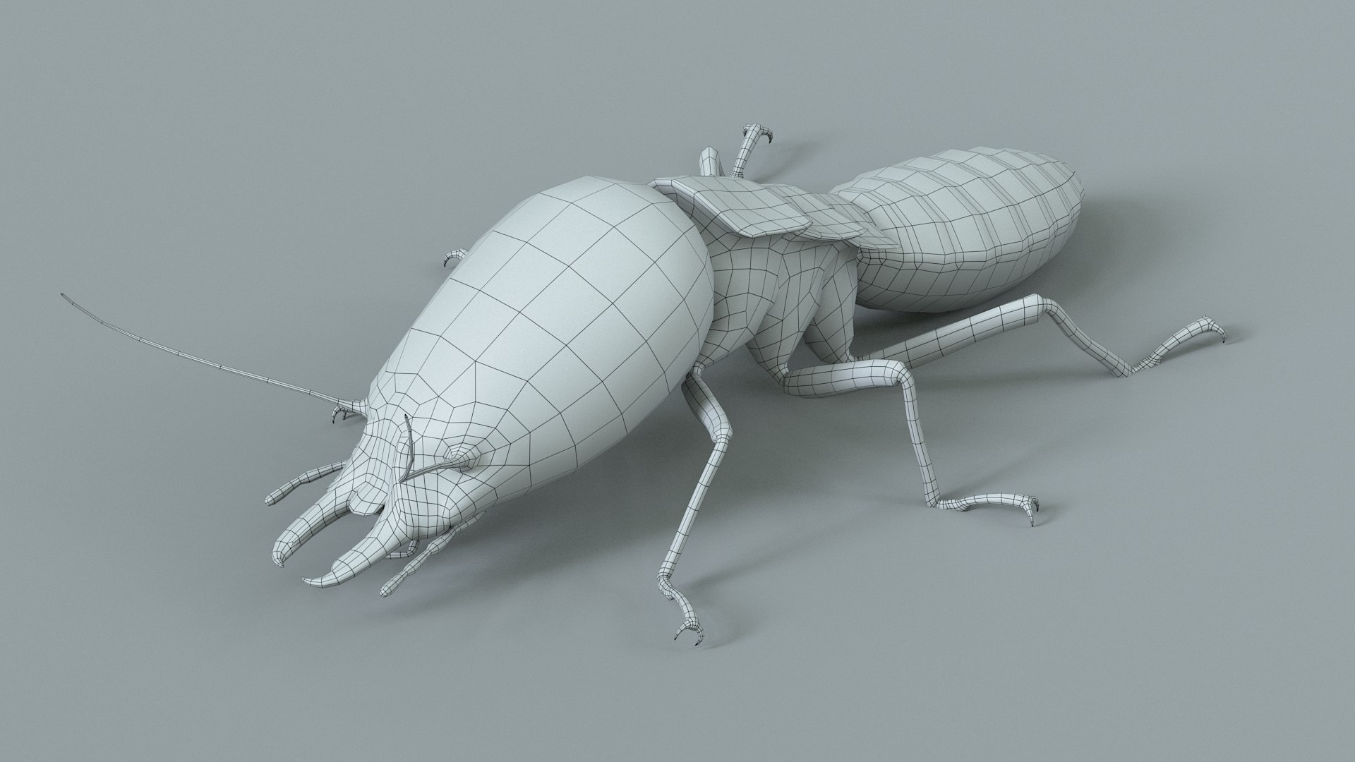 3D Termite Soldier Rigged Xgen https://p.turbosquid.com/ts-thumb/VG/I6dqz8/Y0/termite_rigged_26/jpg/1715323027/1920x1080/fit_q87/350c4fd32d518c28c9f9c8877a793e452500fc7a/termite_rigged_26.jpg