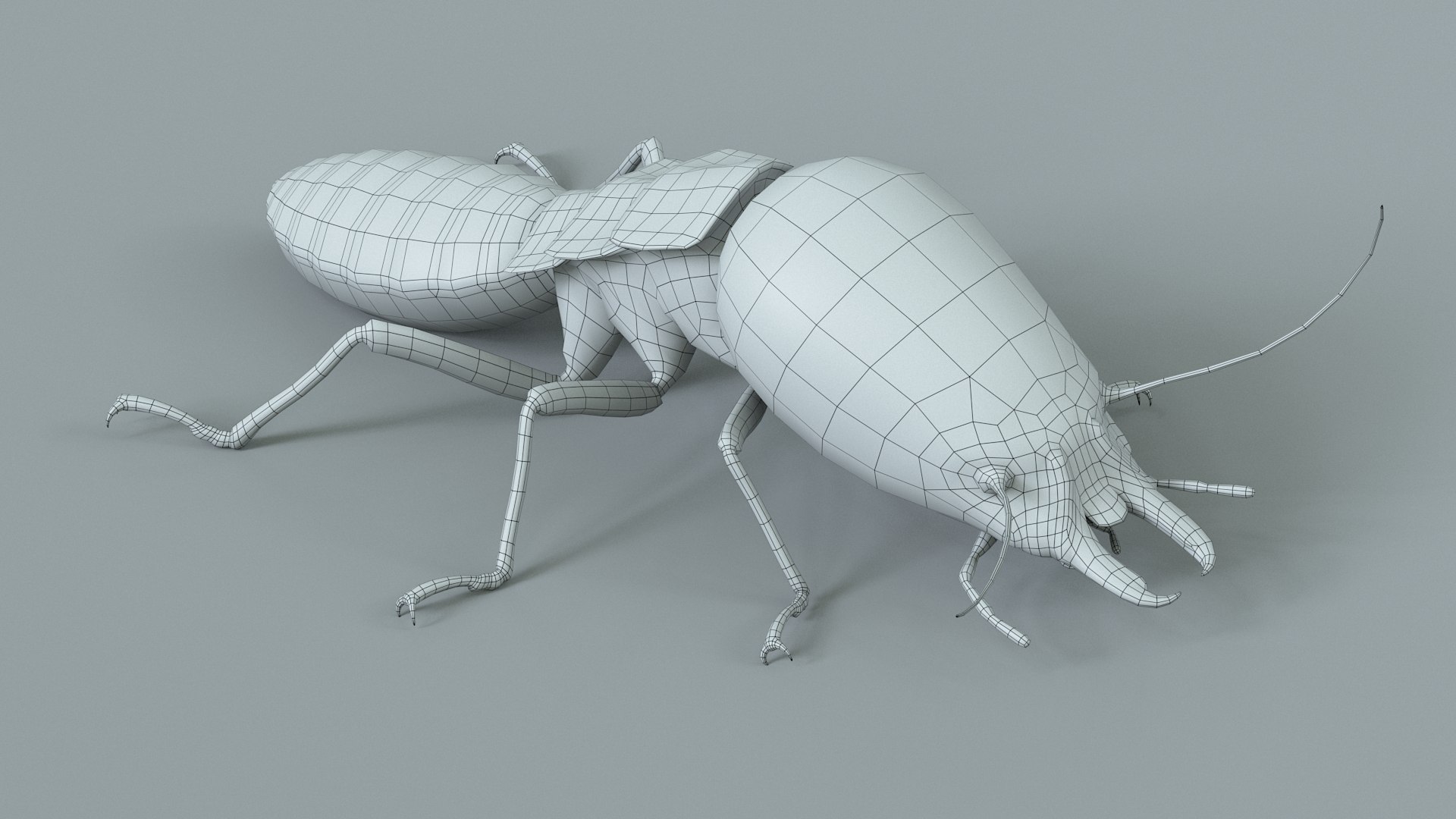 3D Termite Soldier Rigged Xgen https://p.turbosquid.com/ts-thumb/VG/I6dqz8/eQ/termite_rigged_20/jpg/1715323019/1920x1080/fit_q87/327284ae0df9a88263e01ae3e3823497d9802dfc/termite_rigged_20.jpg