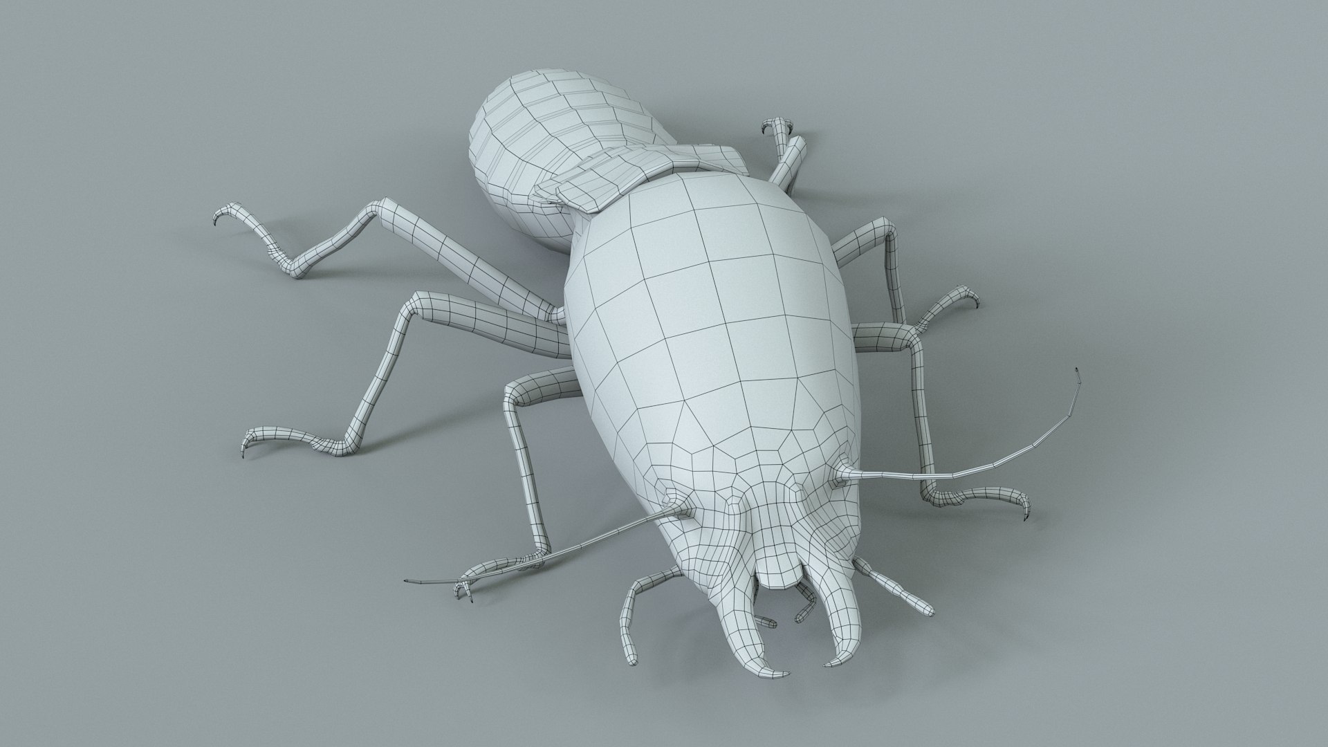 3D Termite Soldier Rigged Xgen https://p.turbosquid.com/ts-thumb/VG/I6dqz8/f2/termite_rigged_27/jpg/1715323035/1920x1080/fit_q87/46ff3badd69f566e107546ee2ebc0c2ffea4ebf2/termite_rigged_27.jpg